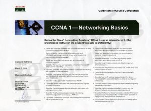 CCNA 1 copy.jpg